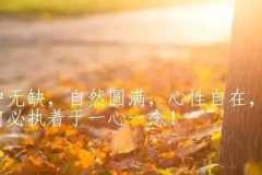 人生情感感悟经典句子大全,人生感悟经典句子汇编