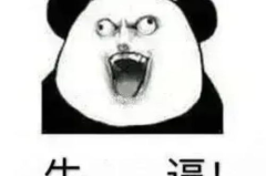 沙雕表情包搞笑,网络笑点的狂欢盛宴